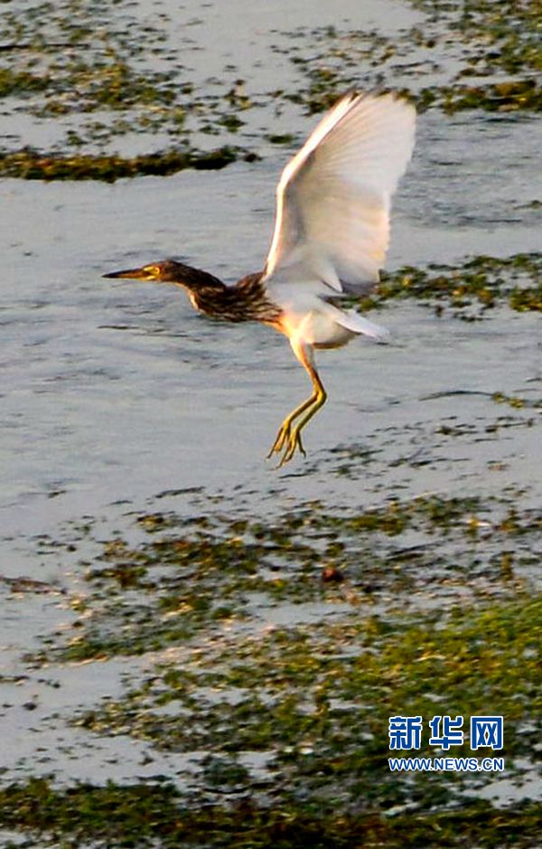 河南汝陽:碧水藍天 和諧之美