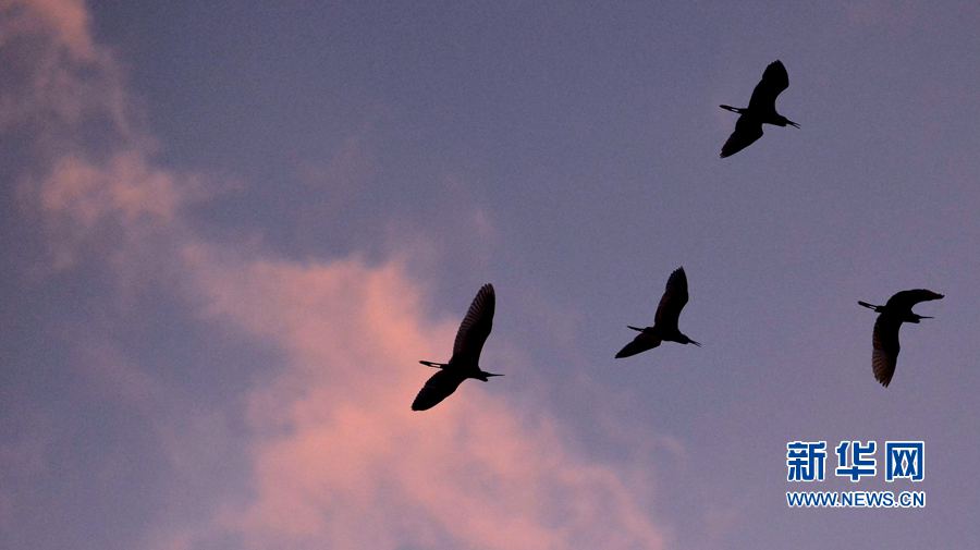 河南汝陽:碧水藍天 和諧之美 河南汝陽:碧水藍天 和諧之美