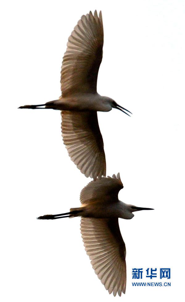 河南汝陽:碧水藍天 和諧之美