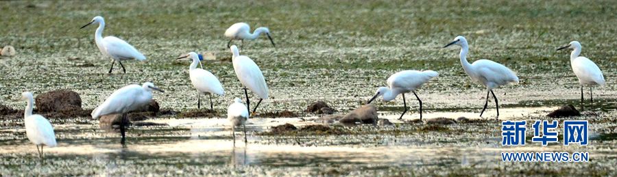 河南汝陽:碧水藍天 和諧之美 河南汝陽:碧水藍天 和諧之美