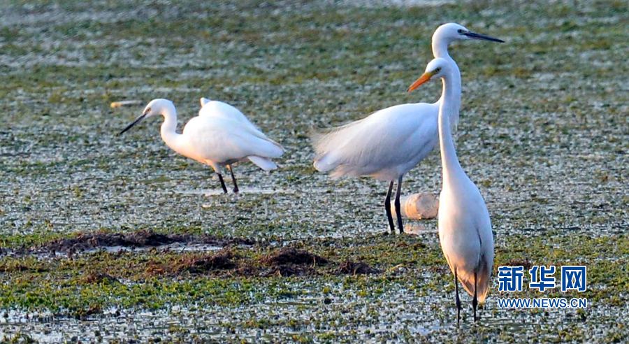 河南汝陽:碧水藍天 和諧之美 河南汝陽:碧水藍天 和諧之美