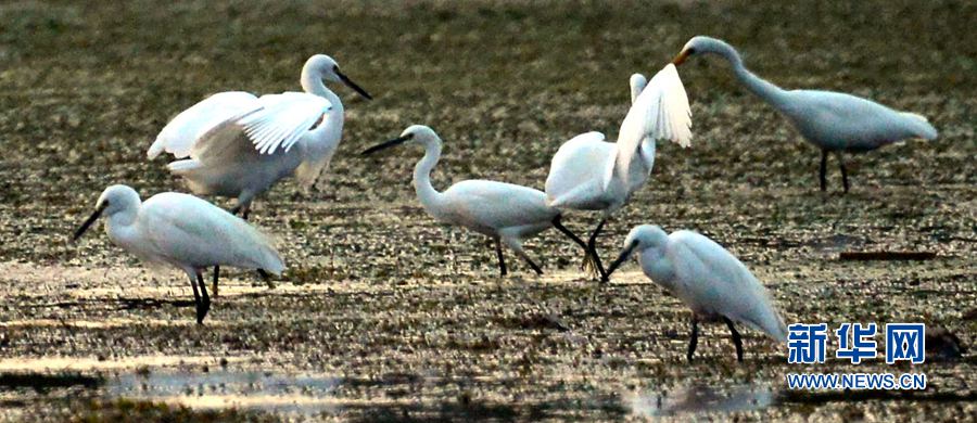 河南汝陽:碧水藍天 和諧之美 河南汝陽:碧水藍天 和諧之美