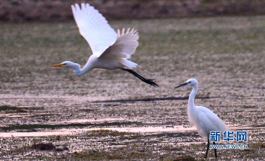 河南汝陽:碧水藍天 和諧之美 河南汝陽:碧水藍天 和諧之美